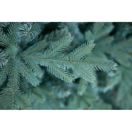 Елка искусственная комнатная Россо Премиум 210см, изумрудно-зеленый 300-609