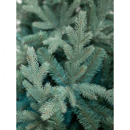 Елка искусственная комнатная Россо Премиум 210см, изумрудно-зеленый 300-609