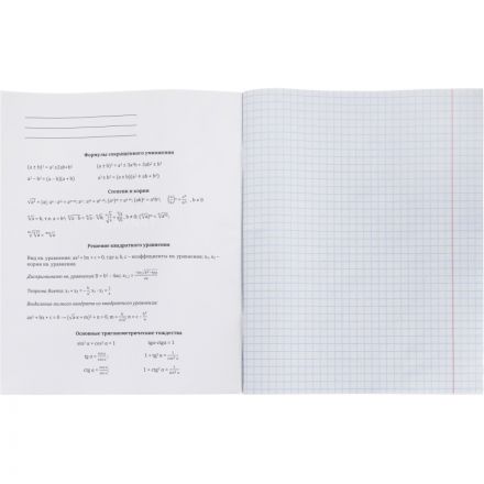 Тетрадь КЛЕТКА 48л. АЛГЕБРА ОСТРОУМИЕ И ОТВАГА, 48-2398