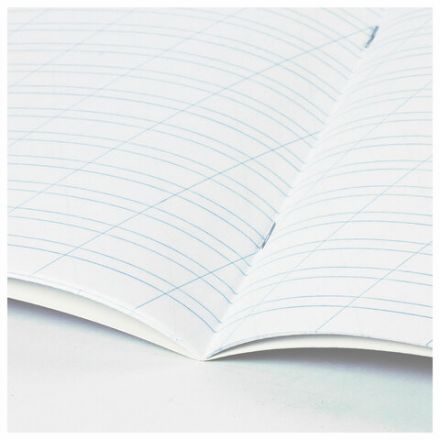 Тетрадь 12 л. BRAUBERG косая линия, обложка картон, CATS AND DOGS, 107288