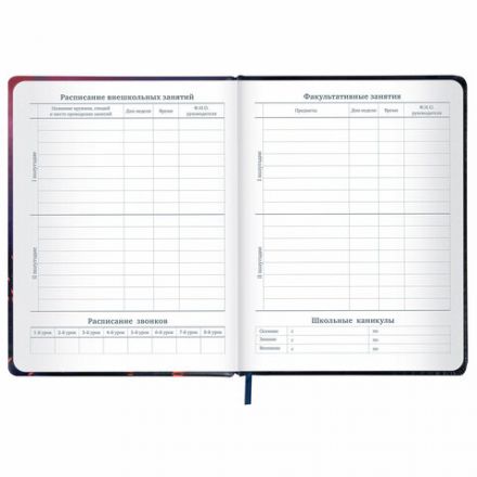 Дневник 1-11 класс 48 л., кожзам (твердая с поролоном), печать, резинка, конверт, BRAUBERG, "The Hunter", 106948