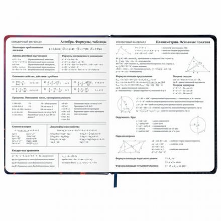 Дневник 1-11 класс 48 л., кожзам (твердая с поролоном), печать, резинка, конверт, BRAUBERG, "The Hunter", 106948