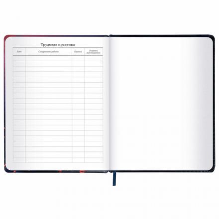 Дневник 1-11 класс 48 л., кожзам (твердая с поролоном), печать, резинка, конверт, BRAUBERG, "The Hunter", 106948