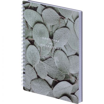 Тетрадь общая, BS, А5, 120л., клетка, спираль. Botanica, эвкалипт N4199