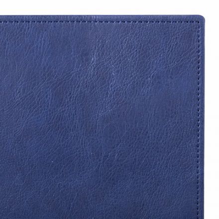 Папка-органайзер семейная для 4-х комплектов документов, формат А4, экокожа, синяя, BRAUBERG, 238206