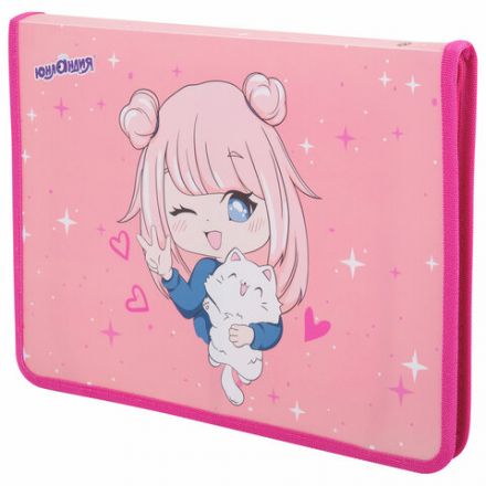 Папка для труда на молнии ЮНЛАНДИЯ А4, 1 отделение, откидная планка, органайзер, "Anime pals", 272222 Папка для труда на молнии ЮНЛАНДИЯ А4, 1 отделение, откидная планка, органайзер, "Anime pals", 272222