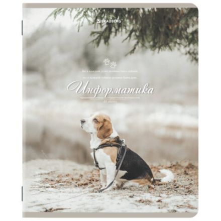 Тетради предметные, КОМПЛЕКТ 12 ПРЕДМЕТОВ, 48 л., SoftTouch, BRAUBERG, "ESTHETICS", 404833 Тетради предметные, КОМПЛЕКТ 12 ПРЕДМЕТОВ, 48 л., SoftTouch, BRAUBERG, "ESTHETICS", 404833