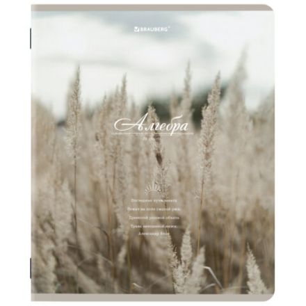 Тетради предметные, КОМПЛЕКТ 12 ПРЕДМЕТОВ, 48 л., SoftTouch, BRAUBERG, "ESTHETICS", 404833 Тетради предметные, КОМПЛЕКТ 12 ПРЕДМЕТОВ, 48 л., SoftTouch, BRAUBERG, "ESTHETICS", 404833