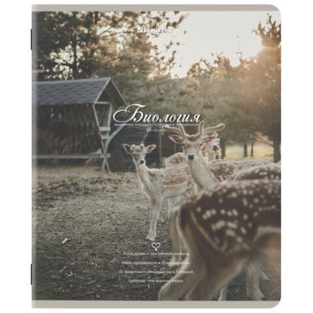 Тетради предметные, КОМПЛЕКТ 12 ПРЕДМЕТОВ, 48 л., SoftTouch, BRAUBERG, "ESTHETICS", 404833 Тетради предметные, КОМПЛЕКТ 12 ПРЕДМЕТОВ, 48 л., SoftTouch, BRAUBERG, "ESTHETICS", 404833