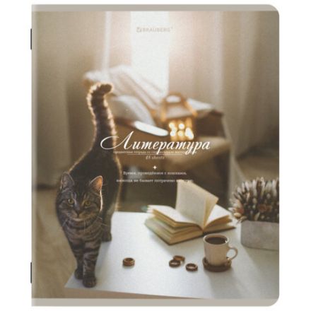 Тетради предметные, КОМПЛЕКТ 12 ПРЕДМЕТОВ, 48 л., SoftTouch, BRAUBERG, "ESTHETICS", 404833 Тетради предметные, КОМПЛЕКТ 12 ПРЕДМЕТОВ, 48 л., SoftTouch, BRAUBERG, "ESTHETICS", 404833