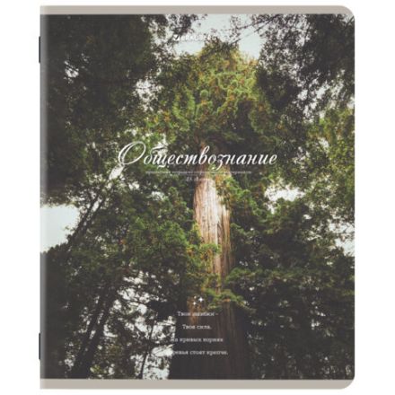 Тетради предметные, КОМПЛЕКТ 12 ПРЕДМЕТОВ, 48 л., SoftTouch, BRAUBERG, "ESTHETICS", 404833 Тетради предметные, КОМПЛЕКТ 12 ПРЕДМЕТОВ, 48 л., SoftTouch, BRAUBERG, "ESTHETICS", 404833