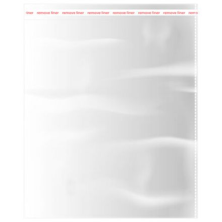 Пакеты БОПП с клеевым клапаном, КОМПЛЕКТ 100 штук, 40х50 + 4 см, 53 мкм, с усиленным швом, BRAUBERG, 700419