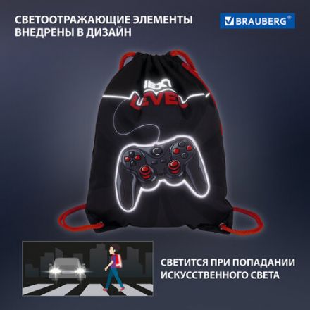 Мешок для обуви BRAUBERG PREMIUM, карман, подкладка, светоотражающие элементы, 43х33 см, "Next level", 270748