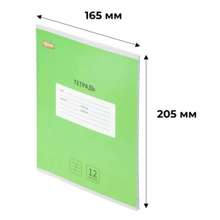 Тетрадь школьная А5 12 л косая линия, Интенсив Зеленый, 10шт/уп арт.1711040