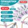 Прищепки бельевые 8,2 см, КОМПЛЕКТ 20 штук, прорезиненный пластик, ассорти, PRIMILA (ПРИМИЛА) PREMIUM, 700522