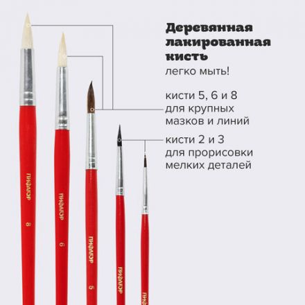 Кисти ПИФАГОР, набор 5 шт. (БЕЛКА: круглая № 3; КОЗА: круглые № 6, 8; ПОНИ: круглые № 2, 5), пакет с европодвесом, 200231 Кисти ПИФАГОР, набор 5 шт. (БЕЛКА: круглая № 3; КОЗА: круглые № 6, 8; ПОНИ: круглые № 2, 5), пакет с европодвесом, 200231