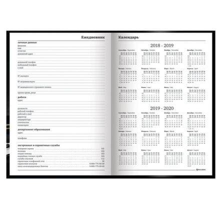 Ежедневник учителя специализированный А5 215х145 мм, BRAUBERG, твердая обложка, 144 л., "Яблоко", 129235