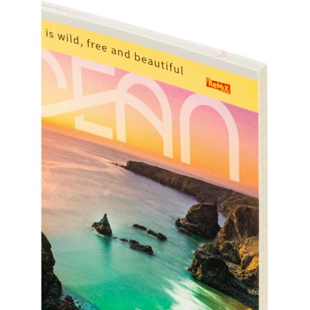 Тетрадь КЛЕТКА 48л.ПРИБРЕЖНЫЕ ВИДЫ 48-5049обл.цвет. мелов.,второй блок