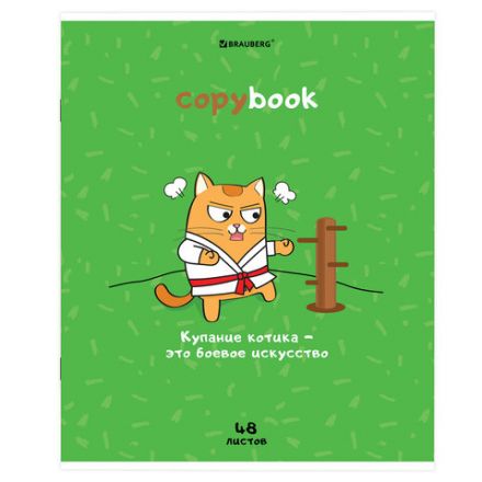 Тетрадь А5, 48 л., BRAUBERG, скоба, клетка, обложка картон, "Кот-Энтузиаст" (микс в спайке), 404365
