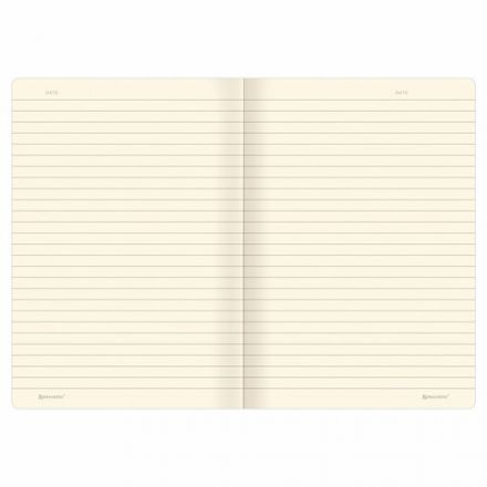 Тетради 40 л. в линию обложка SoftTouch, НАБОР 3 шт., бежевая бумага 70 г/м2, сшивка, А5 (147х210 мм), FLORA, BRAUBERG, 403798