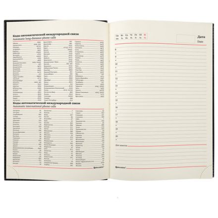 Ежедневник недатированный А5 138х213 мм BRAUBERG "FLAME", под кожу, 160 л., черный, золотой срез, 113426