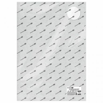 Бумага для акварели 300 г/м2 460x660 мм крупное зерно, 10 листов, BRAUBERG ART PREMIERE, 113234