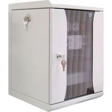 Шкаф настенный телеком. ЦМО 10 8U, (320х255) 420x320x305 (ШРН-8.255-10)