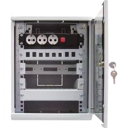 Шкаф настенный телеком. ЦМО 10 8U, (320х255) 420x320x305 (ШРН-8.255-10)