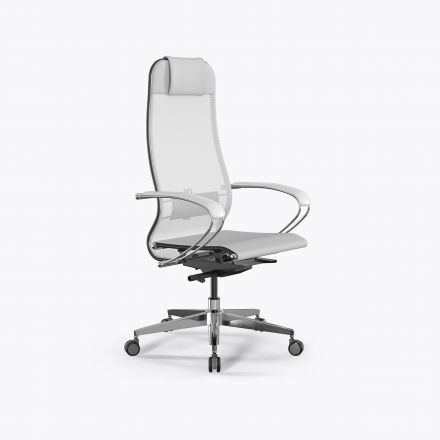 Кресло SynchroSit 10 B1-104K - X2 /Um00/Nb00/K1cL(M23.B22.G18.W23) Белый Кресло SynchroSit 10 B1-104K - X2 /Um00/Nb00/K1cL(M23.B22.G18.W23) Белый