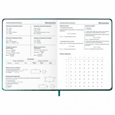 Дневник 1-11 класс 48 л., кожзам (твердая с поролоном), печать, резинка, конверт, BRAUBERG, "Мечты", 106949