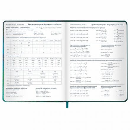 Дневник 1-11 класс 48 л., кожзам (твердая с поролоном), печать, резинка, конверт, BRAUBERG, "Мечты", 106949