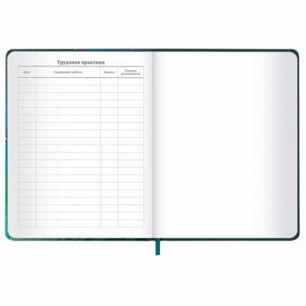 Дневник 1-11 класс 48 л., кожзам (твердая с поролоном), печать, резинка, конверт, BRAUBERG, "Мечты", 106949