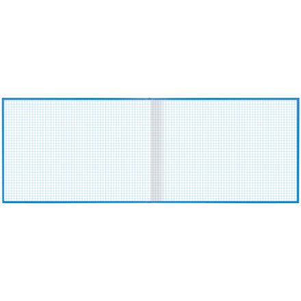 Книга учета 96 л., клетка, твердая, бумвинил, блок офсет, альбомная, А4 203х290 мм, BRAUBERG, 130074 Книга учета 96 л., клетка, твердая, бумвинил, блок офсет, альбомная, А4 203х290 мм, BRAUBERG, 130074