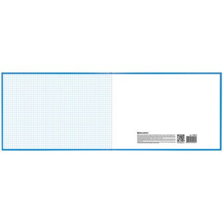 Книга учета 96 л., клетка, твердая, бумвинил, блок офсет, альбомная, А4 203х290 мм, BRAUBERG, 130074 Книга учета 96 л., клетка, твердая, бумвинил, блок офсет, альбомная, А4 203х290 мм, BRAUBERG, 130074