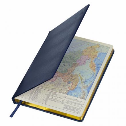 Ежедневник недатированный БОЛЬШОЙ ФОРМАТ 210х297 мм, А4, BRAUBERG Iguana, 160л, синий, 114451