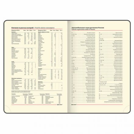 Ежедневник недатированный БОЛЬШОЙ ФОРМАТ 210х297 мм, А4, BRAUBERG Iguana, 160л, синий, 114451