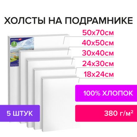 Холсты на подрамнике BRAUBERG ART CLASSIC, НАБОР 5 шт., грунтованные, 100% хлопок, среднее зерно, 190650