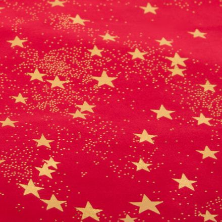 Подарочный мешок (1 штука) новогодний, 55х60 см, "Зимнее небо", вельвет, фольга, ЗОЛОТАЯ СКАЗКА, 592537