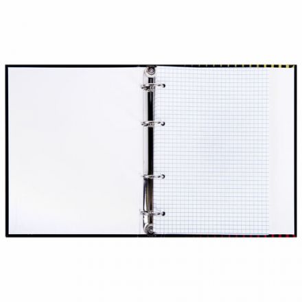 Тетрадь на кольцах А5 165х215 мм, 120 листов, твердый картон, клетка, BRAUBERG, "Anime Girl", 404711