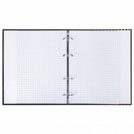 Тетрадь на кольцах А5 165х215 мм, 120 листов, твердый картон, клетка, BRAUBERG, "Anime Girl", 404711