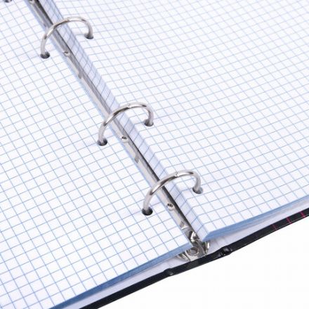 Тетрадь на кольцах А5 165х215 мм, 120 листов, твердый картон, клетка, BRAUBERG, "Anime Girl", 404711