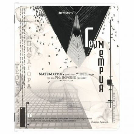 Тетради предметные, КОМПЛЕКТ 12 ПРЕДМЕТОВ, 48 л., матовая ламинация, BRAUBERG, "BLACK&WHITE", 404835