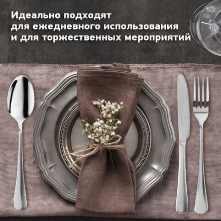 Набор столовых приборов PREMIUM 24 шт., 6 персон, серебристый, нержавеющая сталь, DASWERK (ДАСВЕРК), 609073