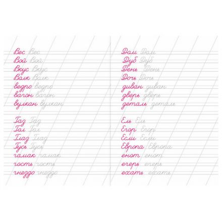 Прописи детские по ФГОС, А5, 16 страниц, 14х20 см, АССОРТИ, ЛиС