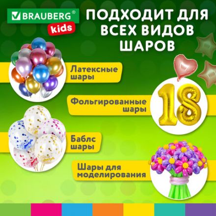 Насос ЭЛЕКТРИЧЕСКИЙ для воздушных шаров, 220 V, 600 W, BRAUBERG KIDS, 591902 Насос ЭЛЕКТРИЧЕСКИЙ для воздушных шаров, 220 V, 600 W, BRAUBERG KIDS, 591902