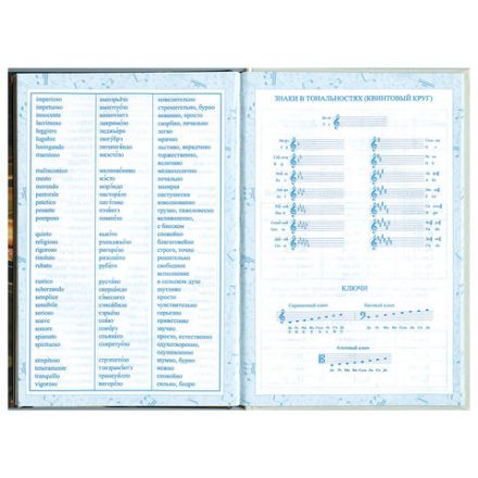 Дневник для музыкальной школы 140х210 мм, 48 л., твердый, BRAUBERG, выборочный лак, справочный материал, "Симфония", 103601 Дневник для музыкальной школы 140х210 мм, 48 л., твердый, BRAUBERG, выборочный лак, справочный материал, "Симфония", 103601