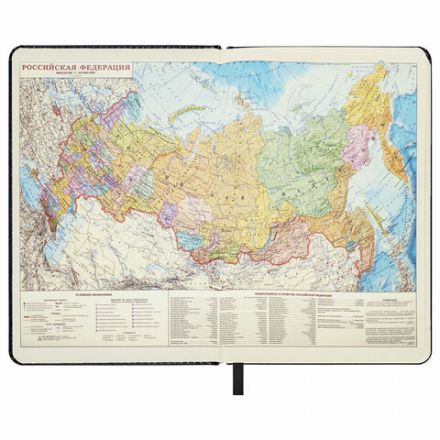 Ежедневник недатированный БОЛЬШОЙ ФОРМАТ 210х297 мм, А4, BRAUBERG "Iguana", под кожу, 160 л., черный,114452