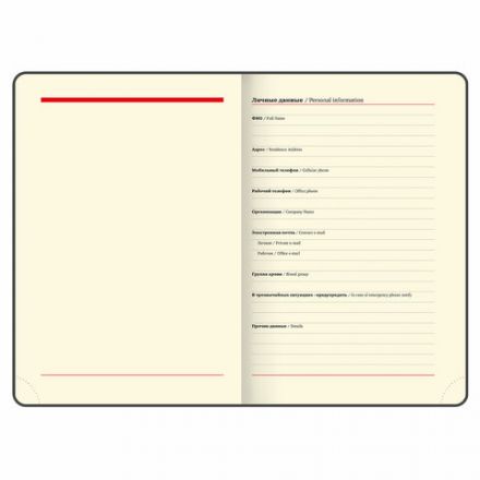 Ежедневник недатированный БОЛЬШОЙ ФОРМАТ 210х297 мм, А4, BRAUBERG "Iguana", под кожу, 160 л., черный,114452