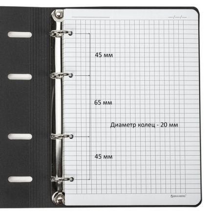 Тетрадь на кольцах А5 (180х220 мм), 80 листов, под кожу, клетка, тиснение фольгой, BRAUBERG VISTA, Gradient, 112131