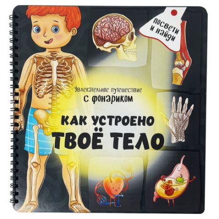 Книжка с фонариком "Познаю мир", 210х230 мм, 12 страниц, АССОРТИ, Бимбимон